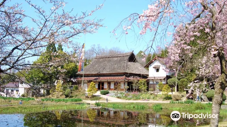 庄原 国営備北丘陵公園 評判 案内 トリップドットコム