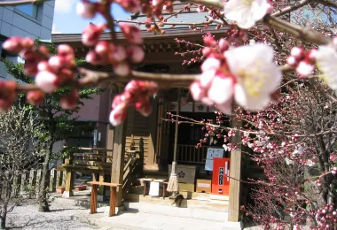 Yamasaki Sugawara Shrine รูปภาพAttractionsยอดนิยม
