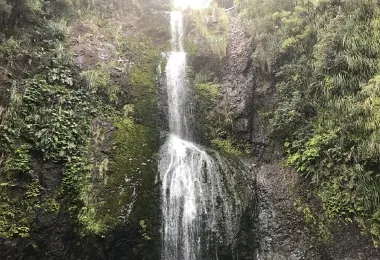 Kitekite Falls รูปภาพAttractionsยอดนิยม