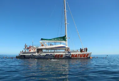 VMT Madeira รูปภาพAttractionsยอดนิยม
