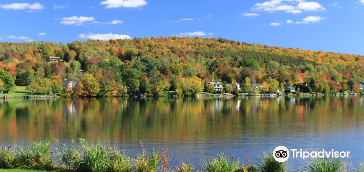 Elmore Travel Guide 2023 Things to Do, What To Eat & Tips