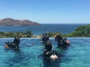 Rich Coast Diving
