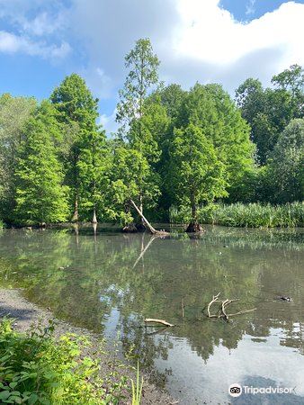 Botanischer Garten Neuss