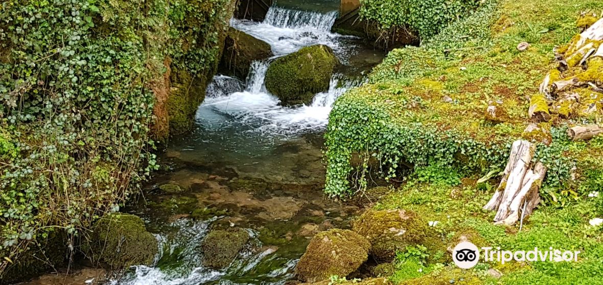 Saint Cuthbert Out 2023 Top Things to Do Saint Cuthbert Out Travel Guides Top