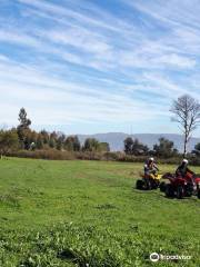 Quadbike & Paintball Element Adventures