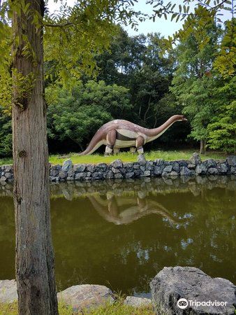 笠岡 カブトガニ博物館 恐竜公園 評判 案内 トリップドットコム