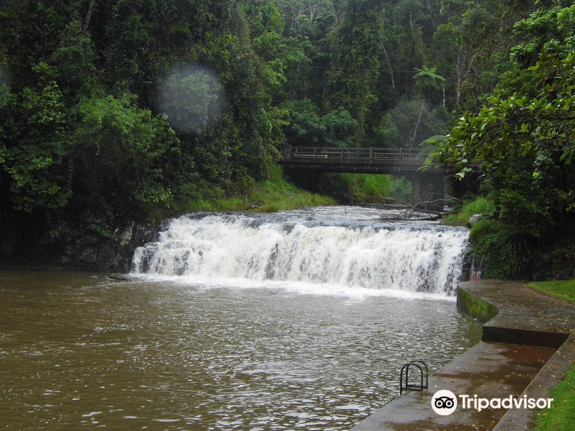 Hotels in Malanda
