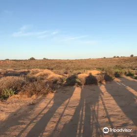 Meerkat Adventures