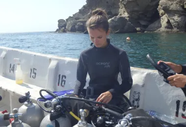 Octopus Dive Center 熱門景點照片
