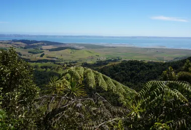 Mount Auckland Atuanui Walkway รูปภาพAttractionsยอดนิยม