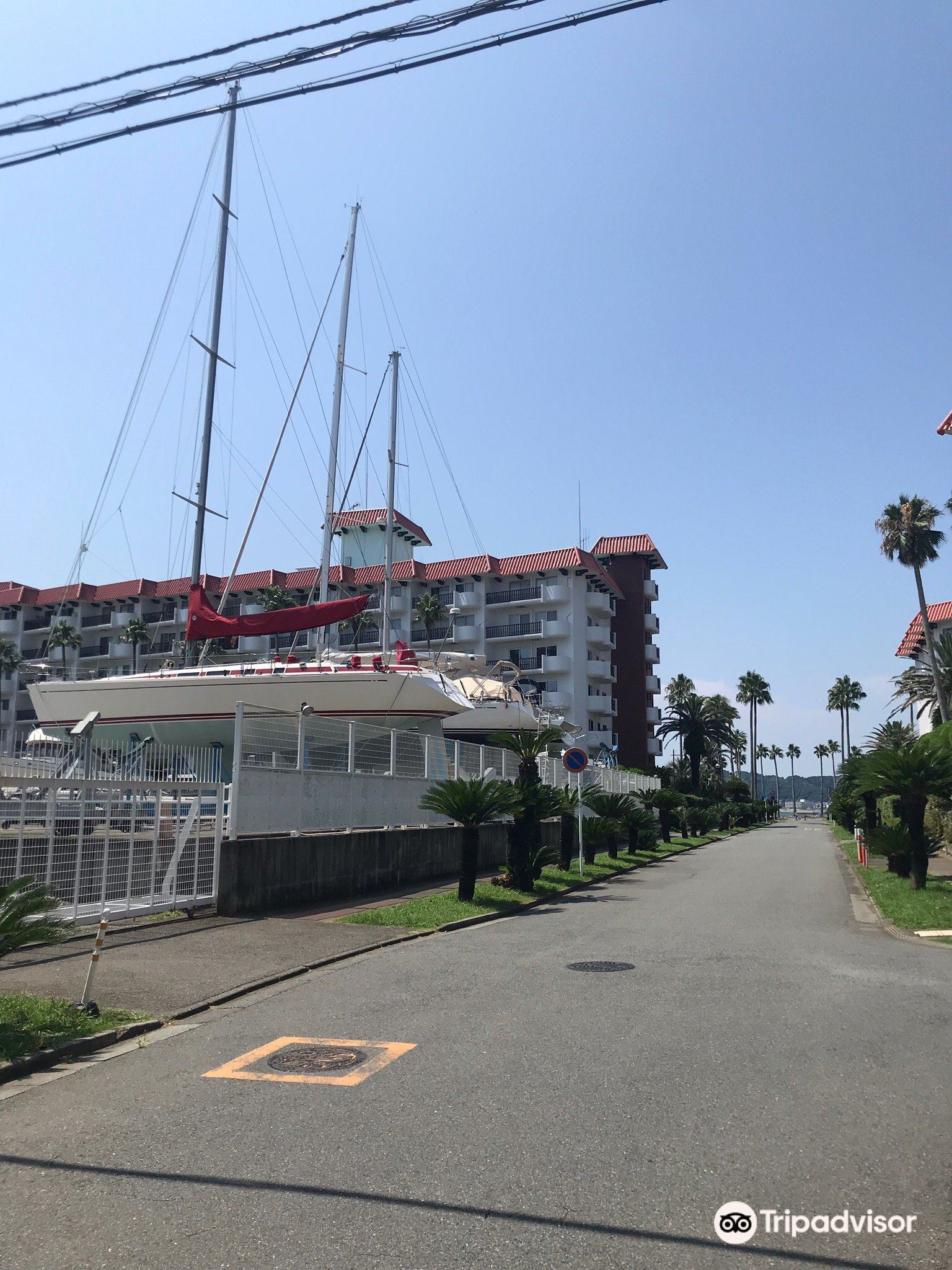 逗子マリーナで南国の雰囲気を Trip Com 逗子の旅のブログ