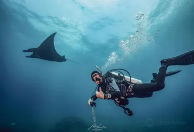 French Kiss Divers 熱門景點照片