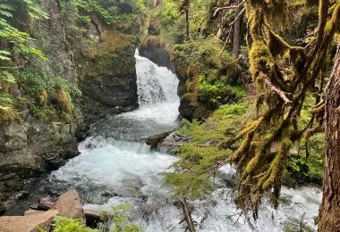Virgin Creek Falls Trail 명소 인기 사진