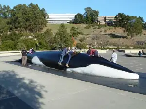 Lawrence Hall of Science