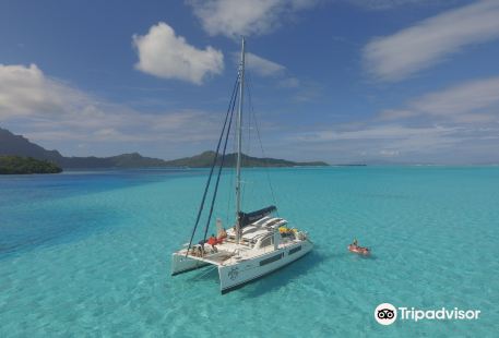 Bora Bora Cruise & Dive