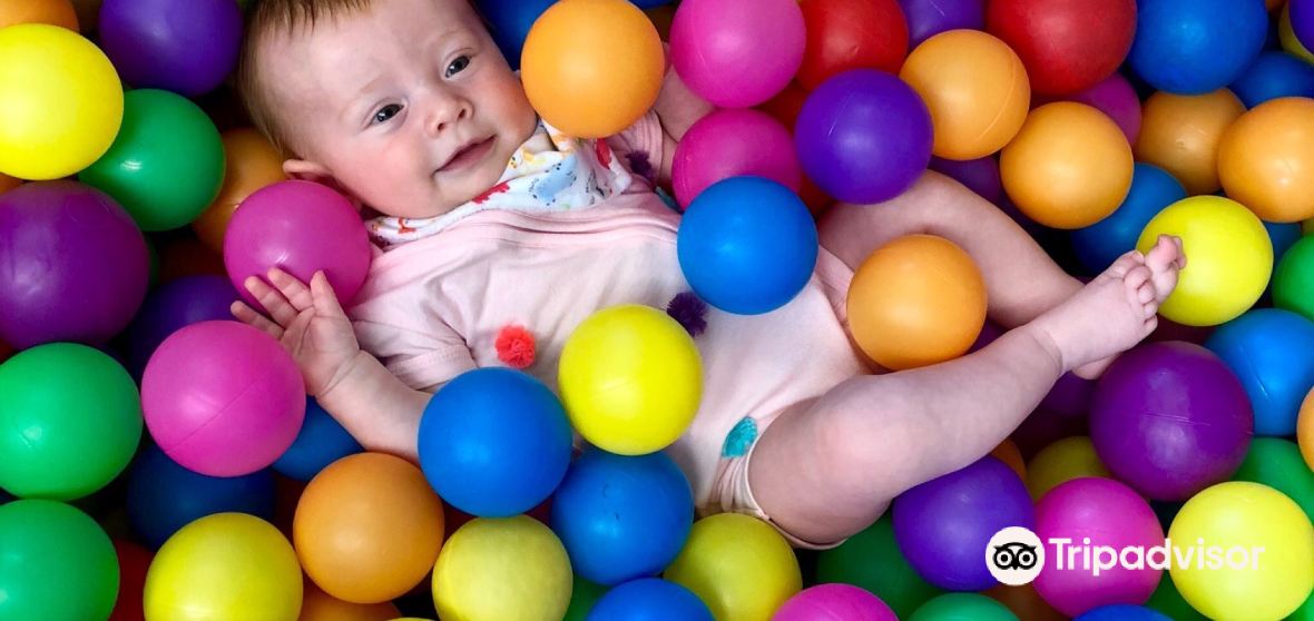 Upper Coomera Travel Guide 2023 Things to Do, What To Eat & Tips