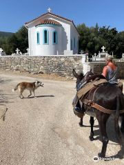 Donkey Trekking Kefalonia