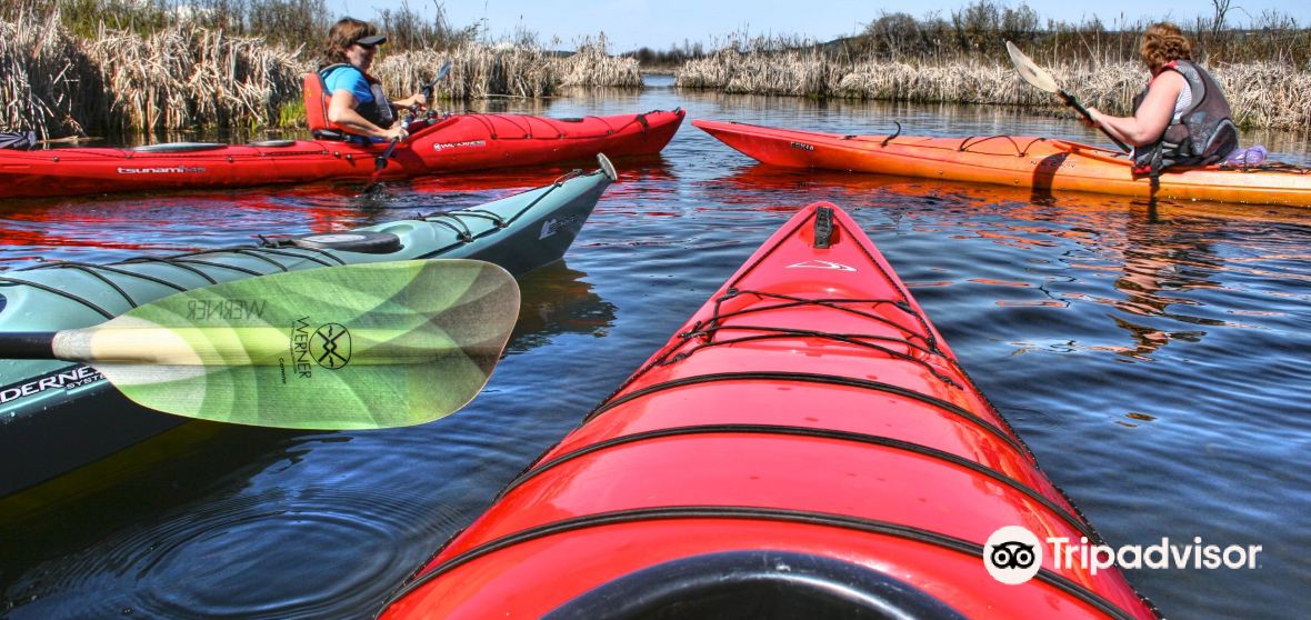 Burns Lake Travel Guide 2023 Things to Do, What To Eat & Tips