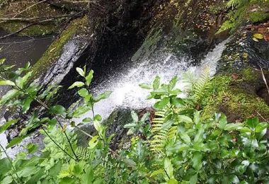 Pohuehue Waterfalls รูปภาพAttractionsยอดนิยม