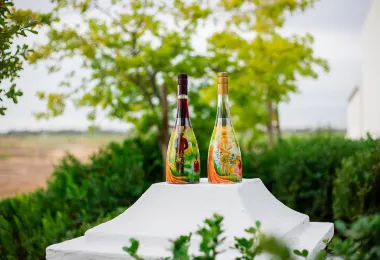 Vergenoegd Low The Wine Estate รูปภาพAttractionsยอดนิยม