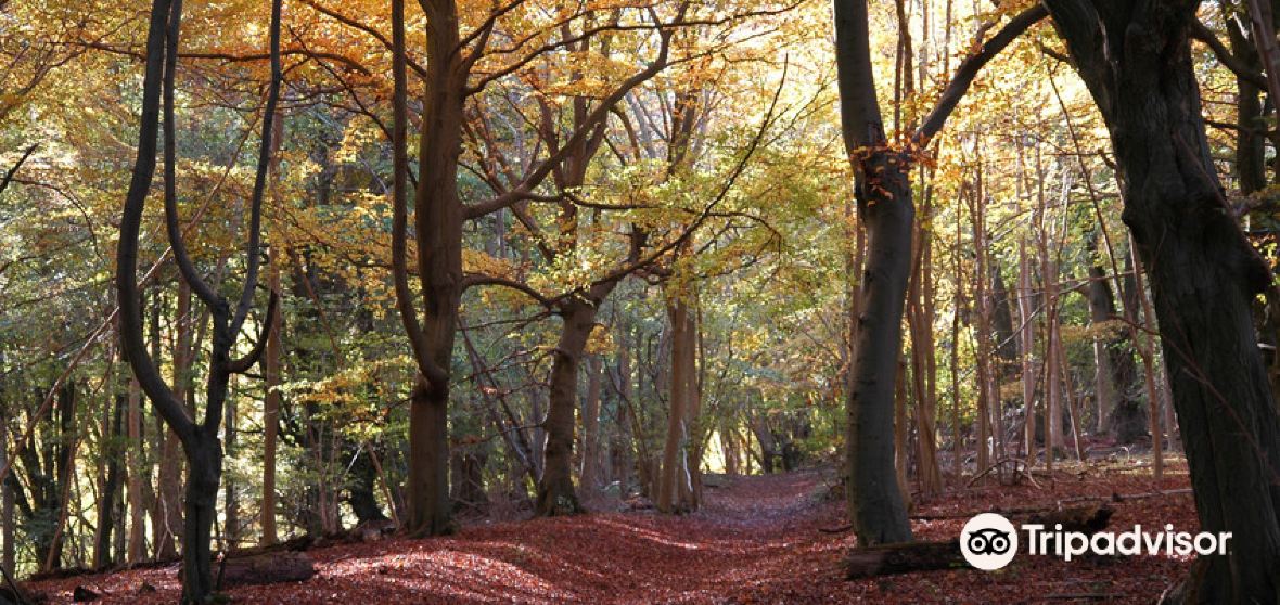 Bix and Assendon 2023 인기 명소 Bix and Assendon 트립 가이드 Bix and