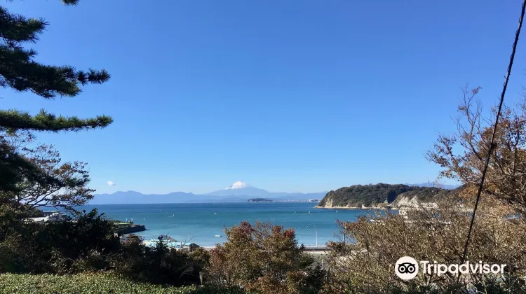 蘆花記念公園のレビュー 蘆花記念公園のチケット 蘆花記念公園の割引 蘆花記念公園の交通機関 所在地 営業時間 蘆花記念公園周辺の観光スポット ホテル グルメ Trip Com