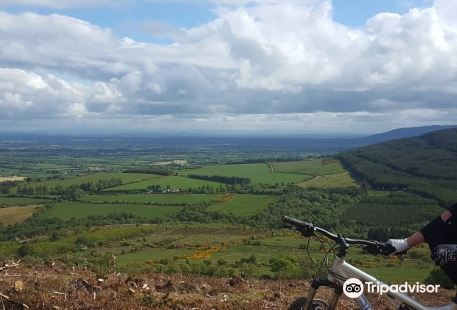 Ballyhoura Mountain Bike Trail