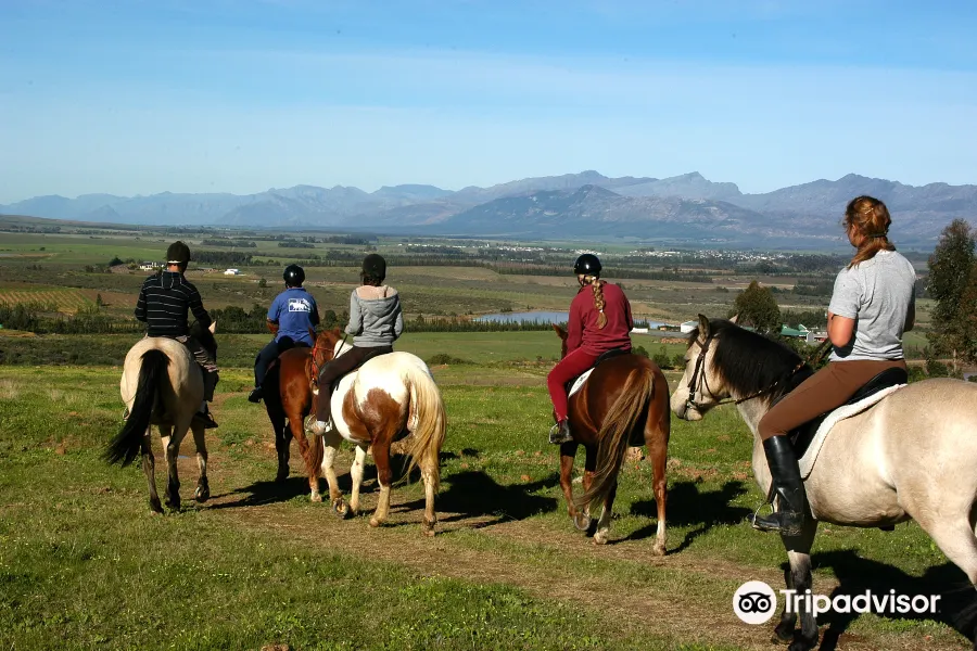 Tulbagh Horse Trails1