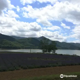 Lake Kanayama Lavender Garden