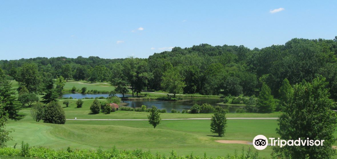 กิจกรรมน่าทำยอดนิยมในTesson Ferry Townshipประจำปี 2023 คู่มือท่อง