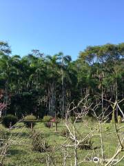 Hotel da Reserva Natural Vale
