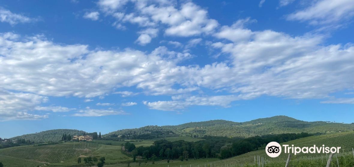  Montespertoli 2022 