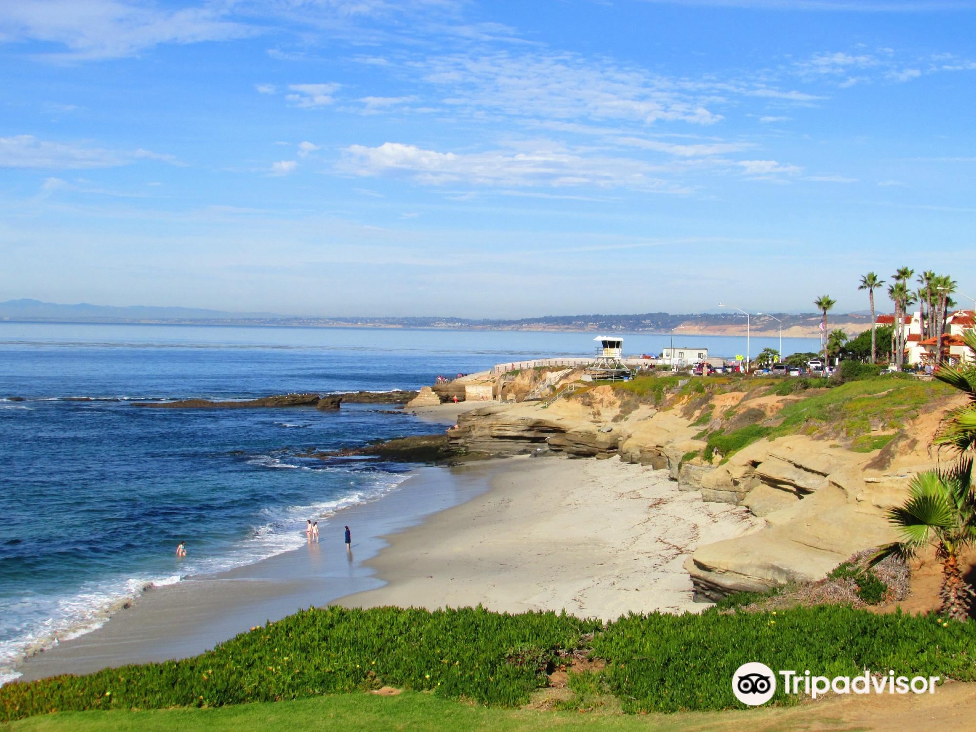 2023 Private Segway Experience Through La Jolla