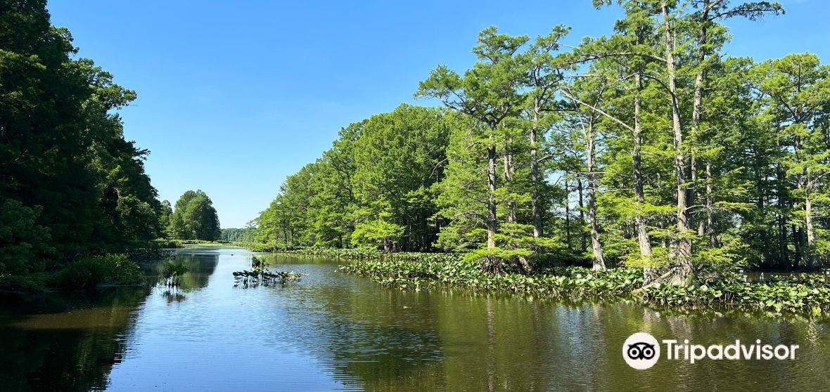 Obion County 2023 인기 명소 Obion County 트립 가이드 Obion County 인기 명소 입장권