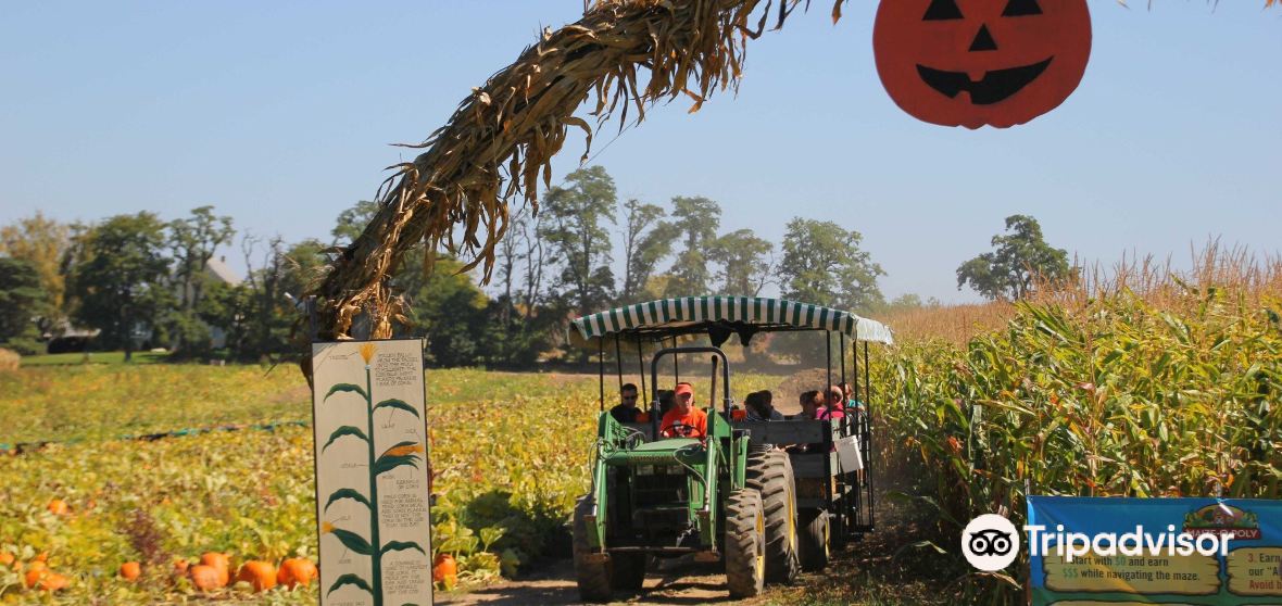 Wheatland Travel Guide 2023 Things to Do, What To Eat & Tips