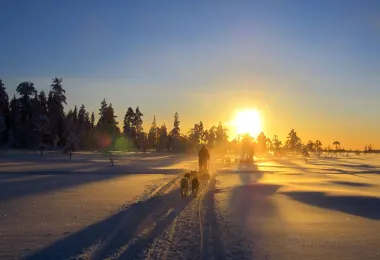 Husky Ranch Lapland รูปภาพAttractionsยอดนิยม