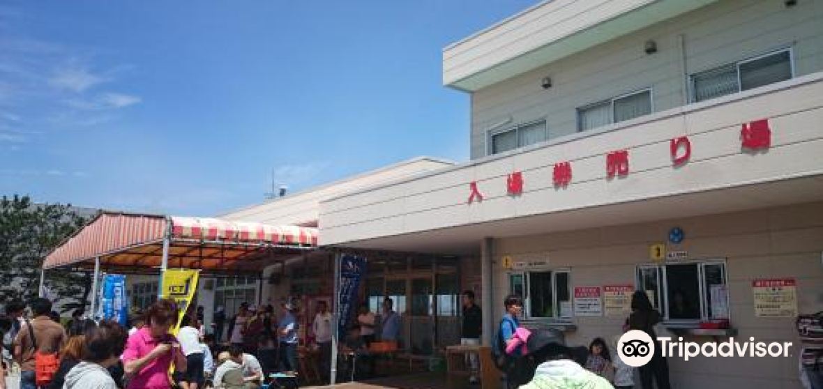 千葉縣富津市top10好去處 2021富津市旅遊攻略 Trip Com