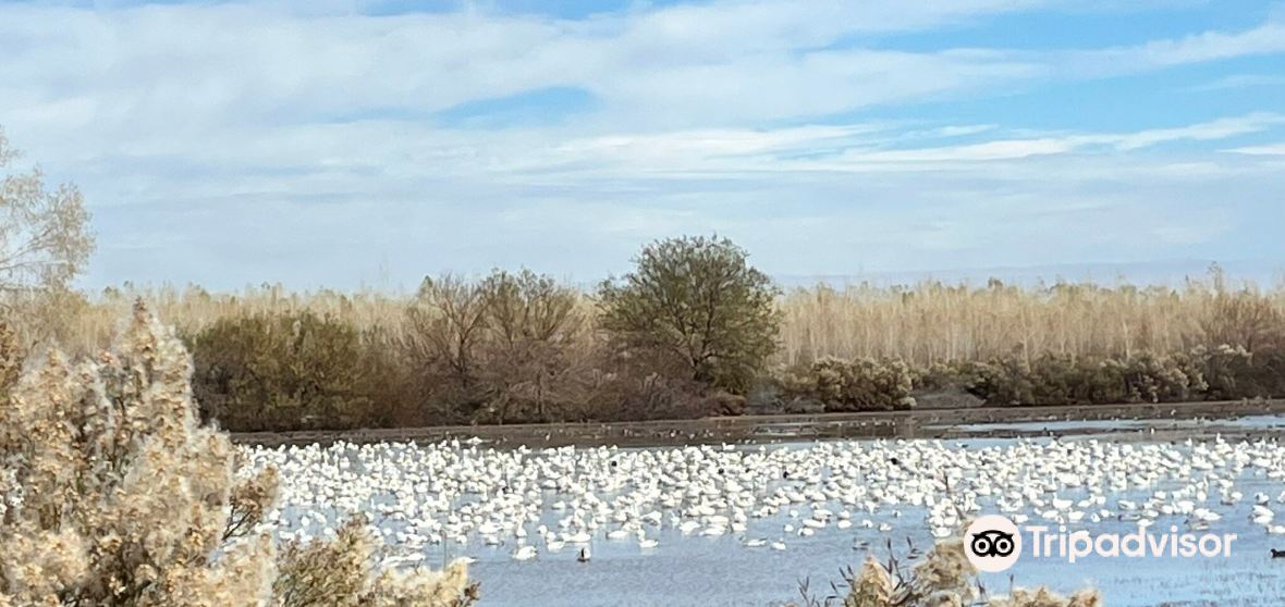 Ehrenberg Travel Guide 2023 Things to Do, What To Eat & Tips