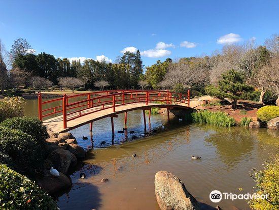 are dogs allowed in the japanese gardens toowoomba