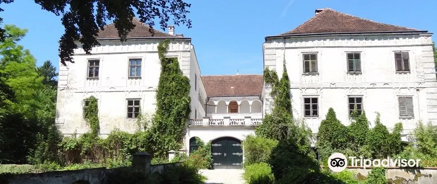 Schloss Katzenberg1