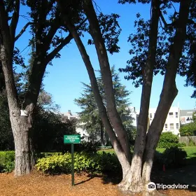 Allyne Park