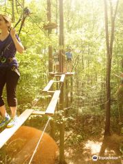 Go Ape Treetop Adventure Course