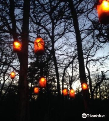 Scream Hollow Wicked Halloween Park 2022