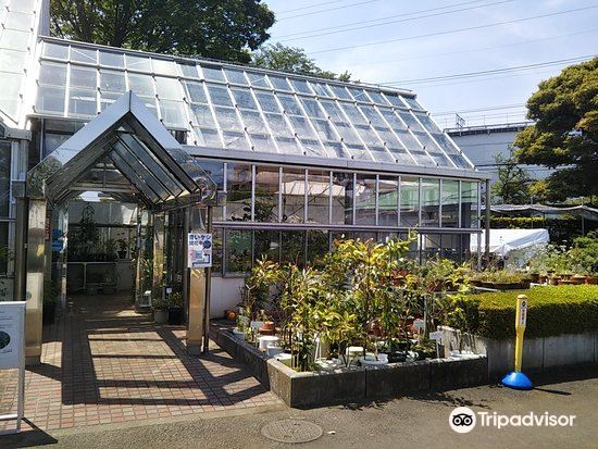 東京都薬用植物園旅遊攻略指南 東京都薬用植物園評價 東京都薬用植物園附近推薦 Trip Com