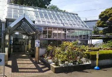 Tokyo Medicobotanical Garden รูปภาพAttractionsยอดนิยม