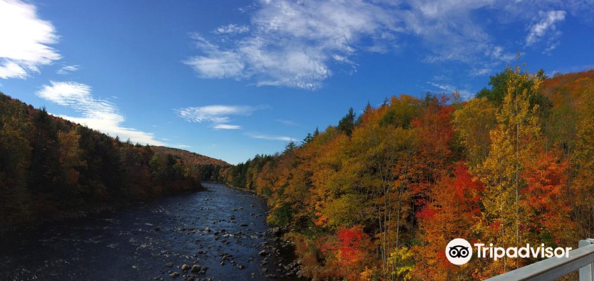 Oswegatchie Travel Guide 2023 Things to Do, What To Eat & Tips