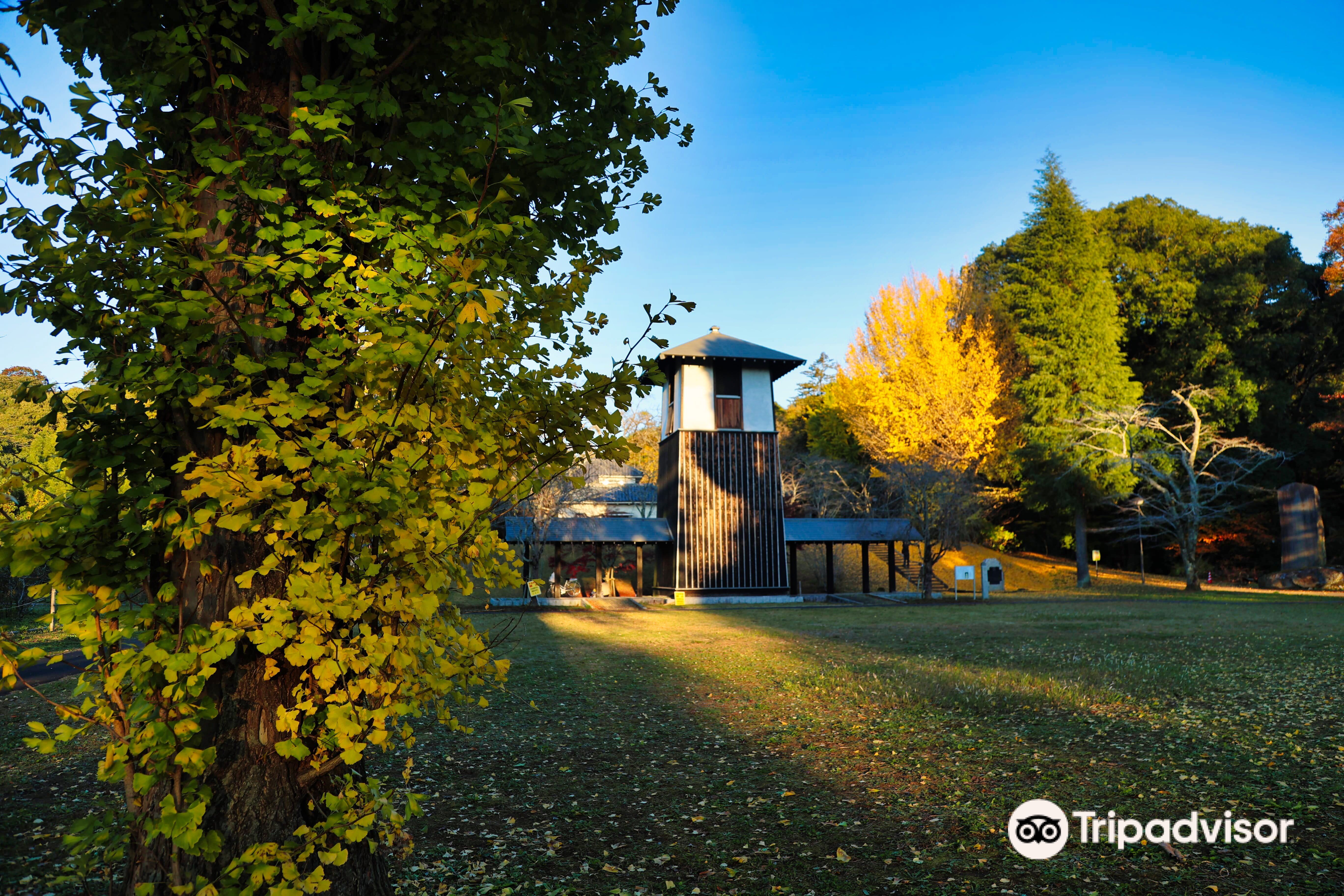 佐白山麓公園のレビュー 佐白山麓公園のチケット 佐白山麓公園の割引 佐白山麓公園の交通機関 所在地 営業時間 佐白山麓公園周辺の観光スポット ホテル グルメ Trip Com