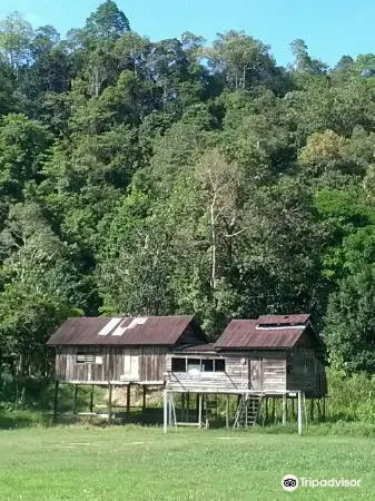 Kinabatangan Jungle Camp2