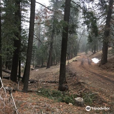 Tehachapi Mountain Park Map Tehachapi Mountain Park Attraction Reviews - Tehachapi Mountain Park  Tickets - Tehachapi Mountain Park Discounts - Tehachapi Mountain Park  Transportation, Address, Opening Hours - Attractions, Hotels, And Food Near Tehachapi  Mountain Park - Trip.com