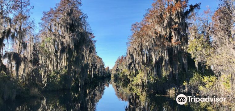 กิจกรรมน่าทำยอดนิยมในFolkstonประจำปี 2022 คู่มือท่องเที่ยวFolkston